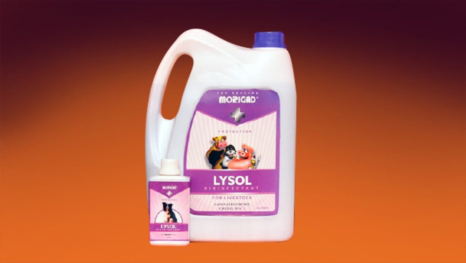 LYSOL-(Saponated-cresol)