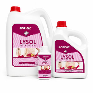 Morigad Lysol