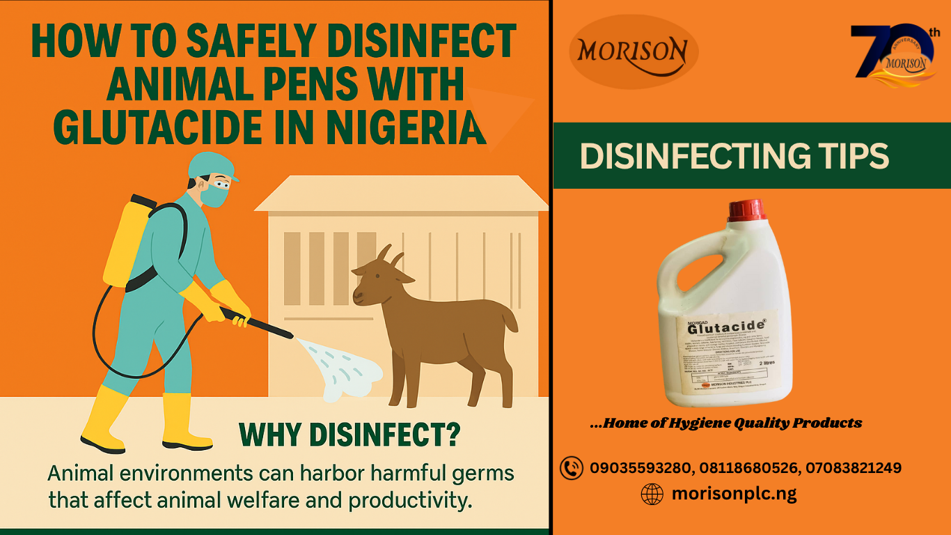 Read more about the article How to Safely Disinfect Animal Pens with Glutacide in Nigeria