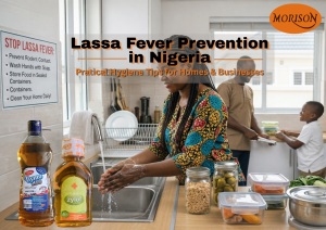 Read more about the article Lassa Fever Prevention in Nigeria: Practical Hygiene Steps to Protect Homes and Businesses